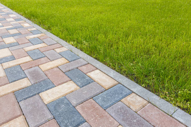 Best Local Driveway Pavers  in Unionville, TN